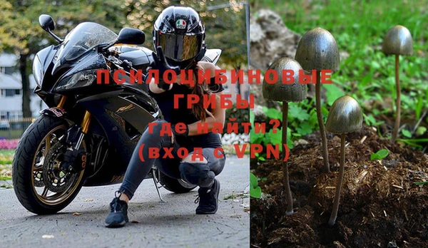 ГАЛЛЮЦИНОГЕННЫЕ ГРИБЫ Михайловск