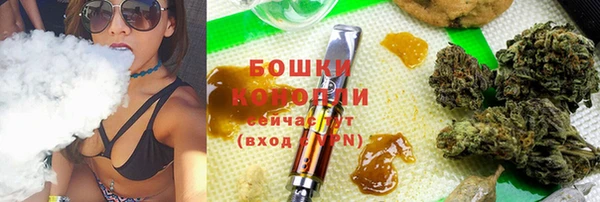 прущие грибы Аркадак