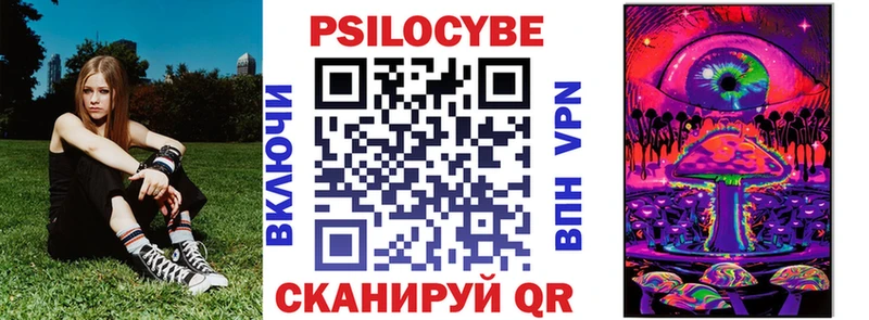 Псилоцибиновые грибы Cubensis сколько стоит Коряжма